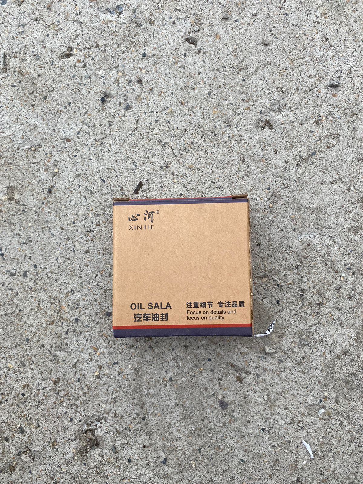 сальник обычный